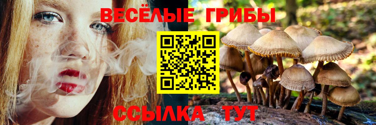 Канск  Псилоцибиновые грибы Magic Shrooms  Вход с VPN 